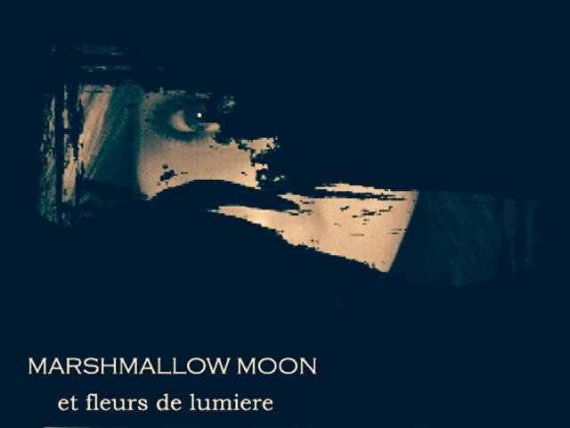 Marshmallow_Moon_T_shirt_2_-_VistaPrint.JPG